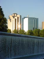 Downtown Bellevue, as seen from the park