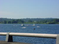 Assemblage of boats on Lake Washington